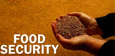 FOOD SECURITY